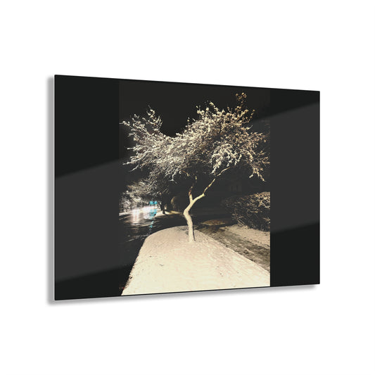 Winter Night Acrylic Print - Elegant Wall Art for Home Decor