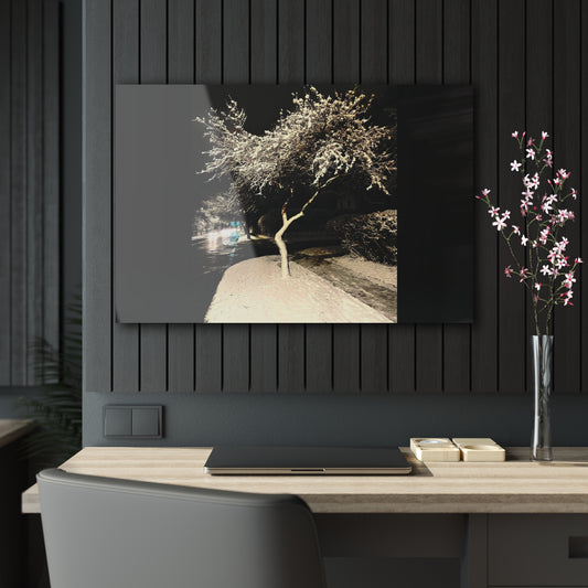 Winter Night Acrylic Print - Elegant Wall Art for Home Decor