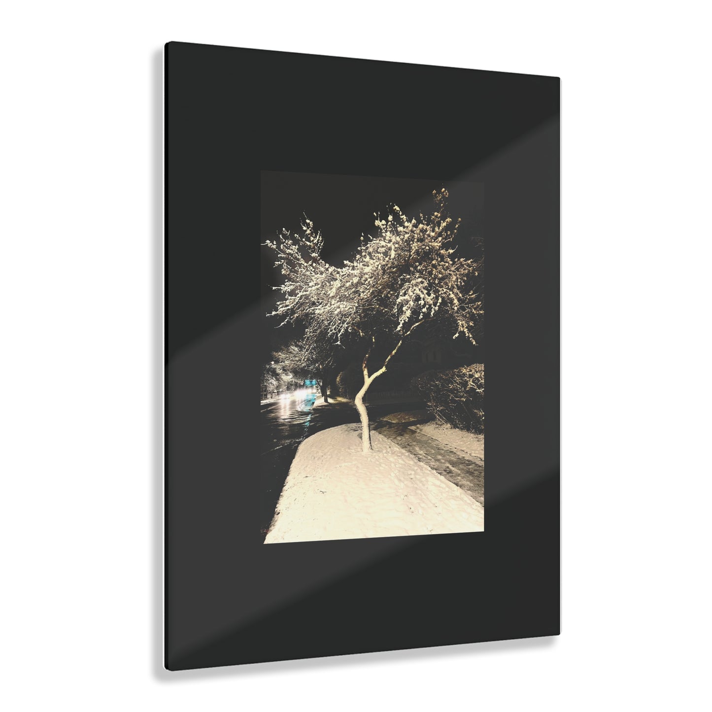 Winter Night Acrylic Print - Elegant Wall Art for Home Decor