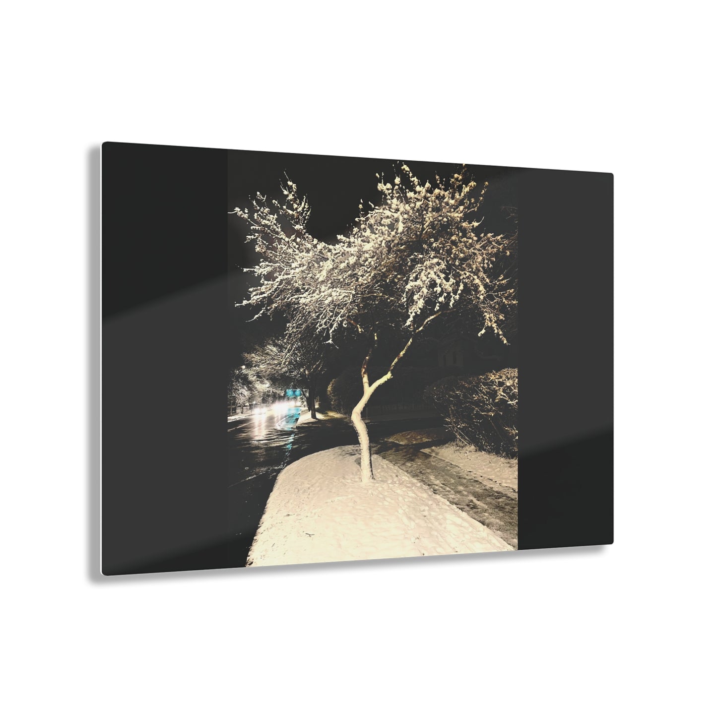 Winter Night Acrylic Print - Elegant Wall Art for Home Decor