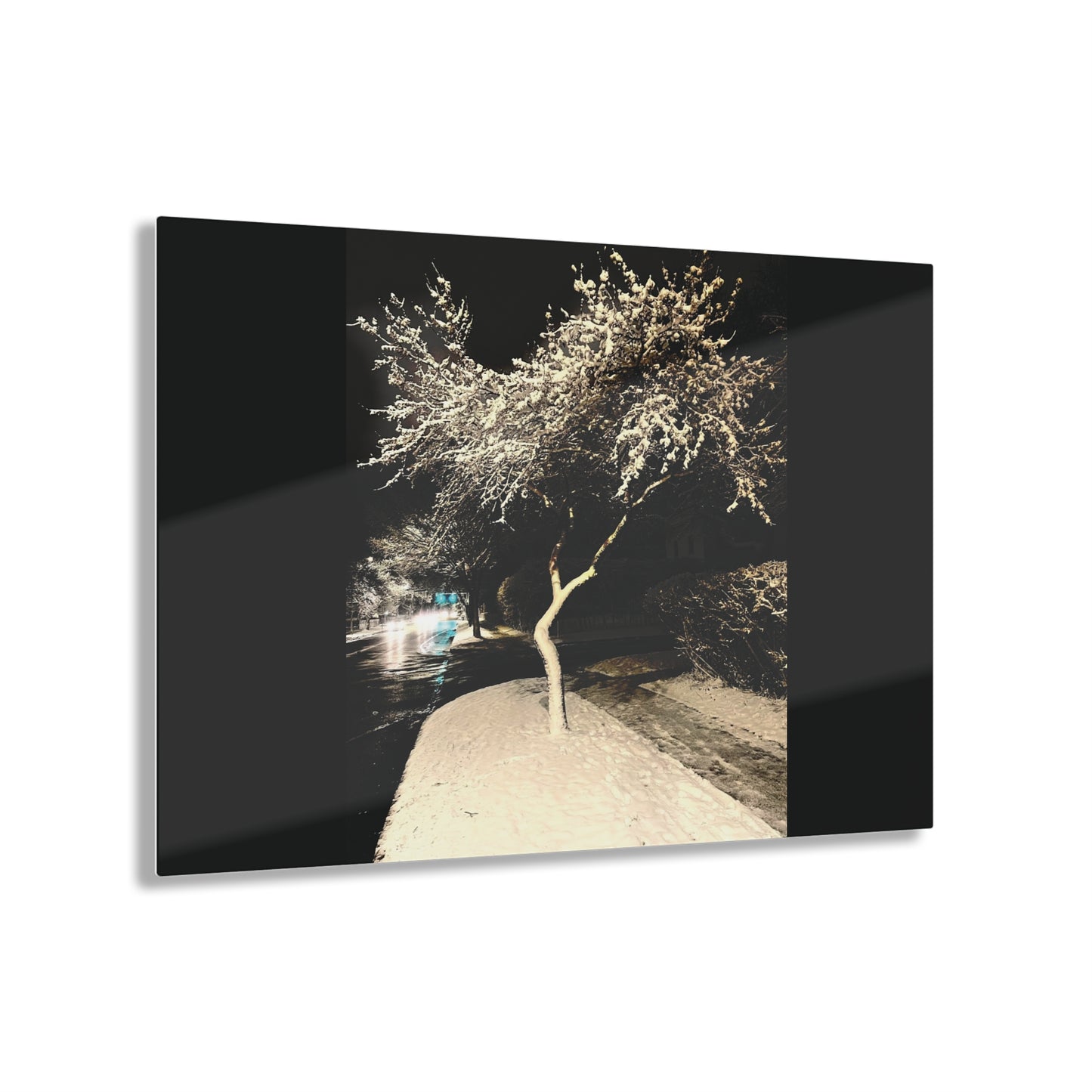 Winter Night Acrylic Print - Elegant Wall Art for Home Decor